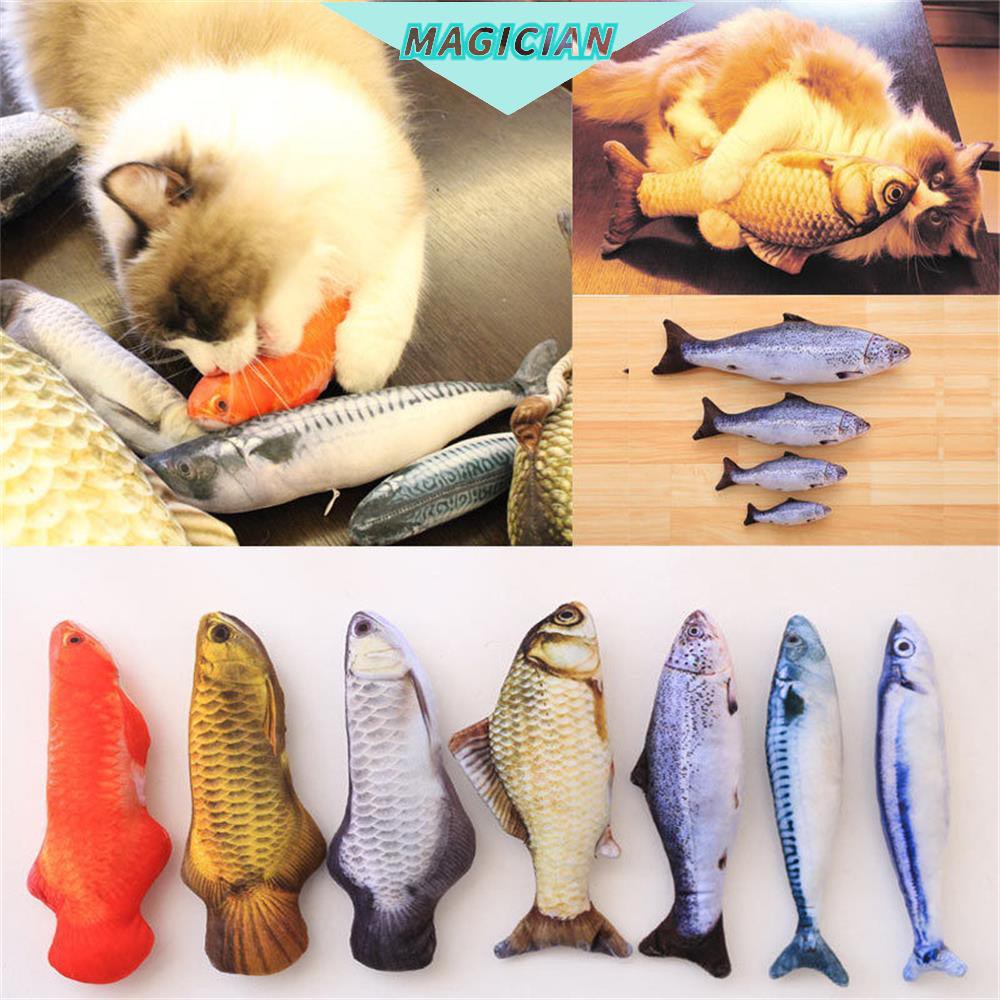 Đồ chơi nhai gặm ma thuật dành cho mèo cưng