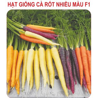 Hạt giống cà rốt mix màu - 1 gói 100 hạt - STHG2