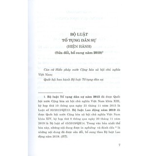 Sách - Bộ Luật Tố Tụng Dân Sự (Hiện Hành) (Sửa đổi, bổ sung năm 2019)
