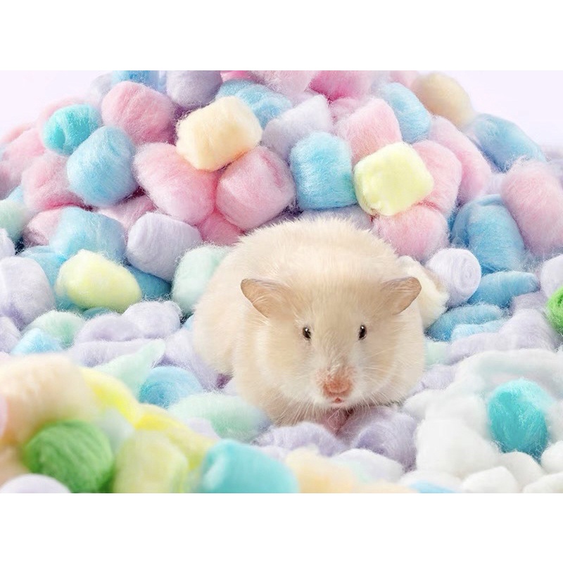 bông gòn candy cho hamster, sóc, fat tail, nhím,...