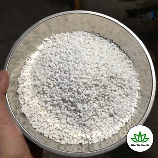 Đá Perlite Trồng Sen Đá, Xương Rồng (100g )