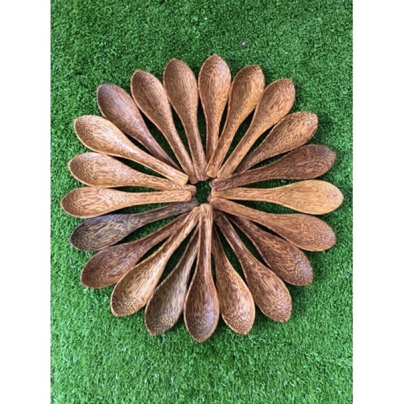 Muỗng cơm gỗ dừa Bến Tre