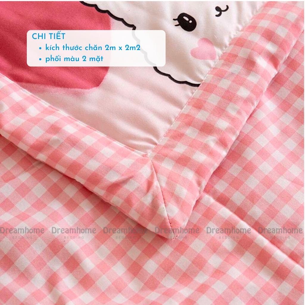 Chăn hè cotton đũi DREAMHOME trần bông sơ đậu nành mềm mại, thoáng mát không bị xô bông size 2mx2m2