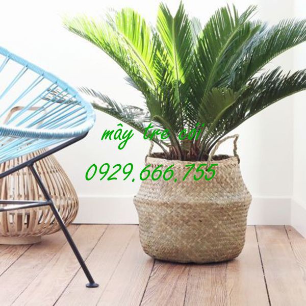 Giỏ cói || Sọt cói đựng đồ, trồng cây, đi chợ