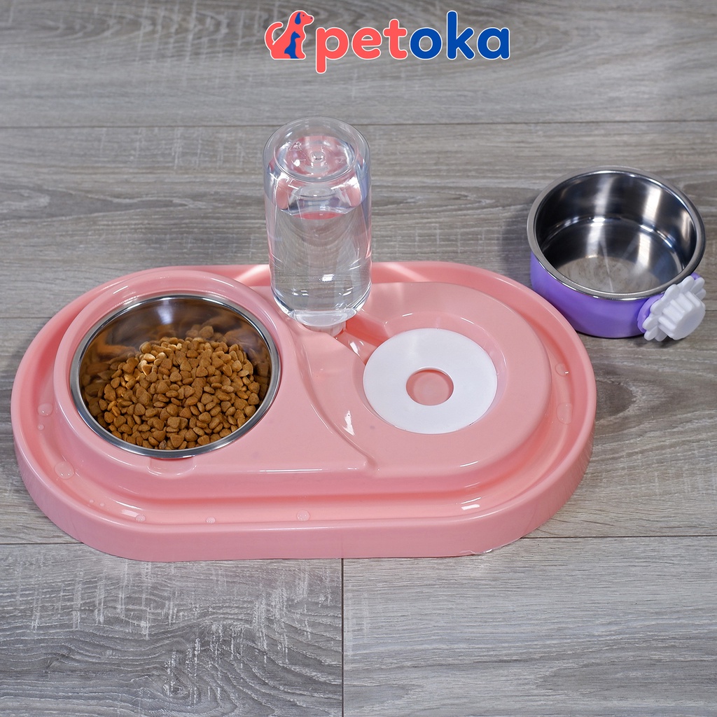 Bát ăn chống kiến cho chó mèo hai ngăn đôi có bát inox kèm bình nước tự động
