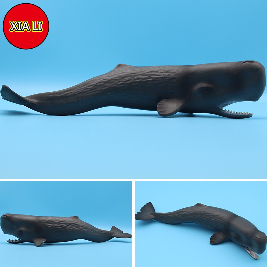 Mô Hình Cá Mập Biển Sống Động Cho Bé