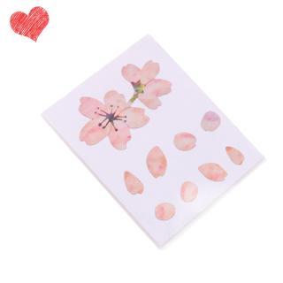 Decal dán tường hình đàn guitar & Ukulele họa tiết hoa anh đào