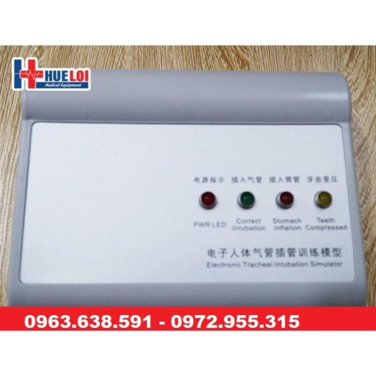 MÔ HÌNH THỰC HÀNH ĐẶT NỘI KHÍ QUẢN