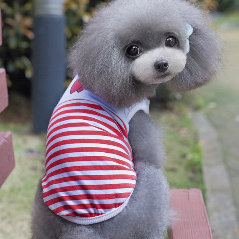 Áo Thun MùA Hè Cho Thú Cưng