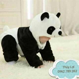 Body thú đồng giá 260k