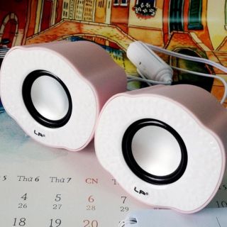 Loa vi tính lp d5 chính hãng cực hay