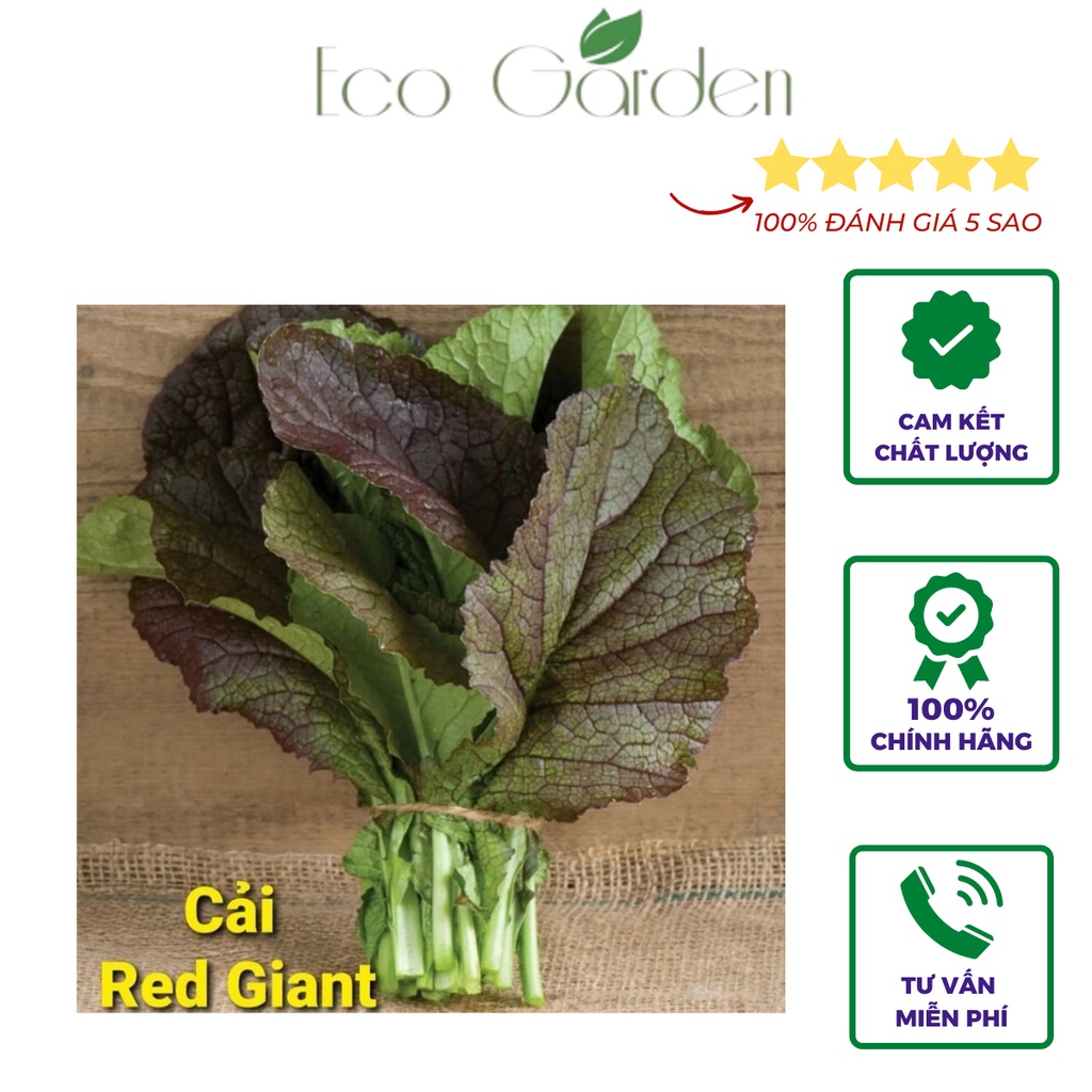 Hạt giống cải mù tạt Red Giant chịu nhiệt nhập Mỹ - Johnny's Seeds