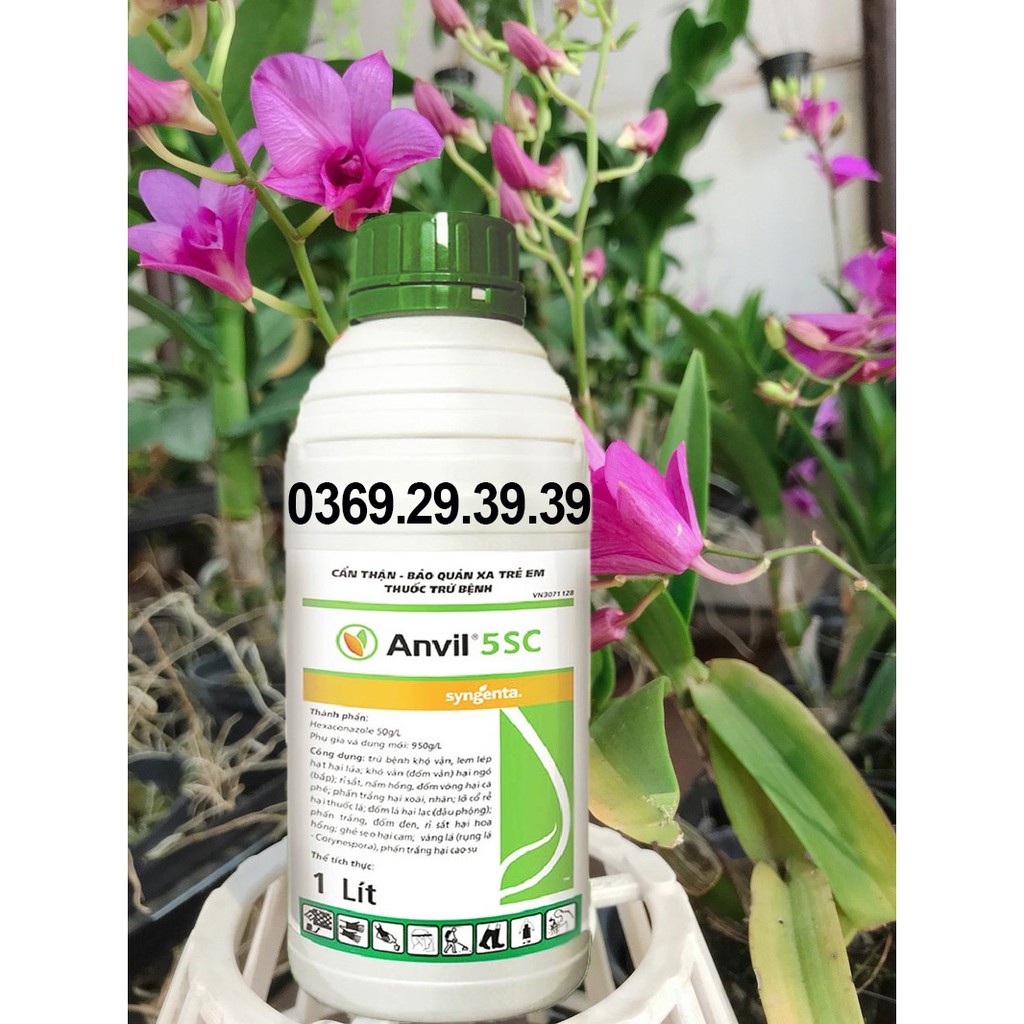 Anvil 5SC - trừ nấm bệnh vàng lá, phấn trắng, đốm đen, rỉ sắt trên cây trồng