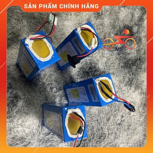 Pin Lithium 48V Chính Hãng - Pin Nhập Khẩu Tận Gốc Tại Nhà Máy - Hàng Loại 1 - Bảo Hành 2 Năm