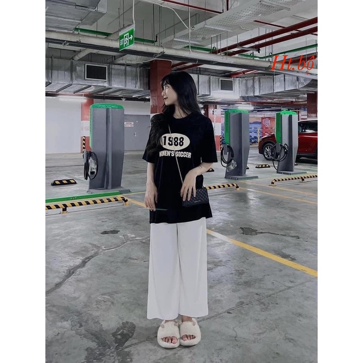 Set Bộ 1988 quần xuông áo chất liệu cotton quần da cá