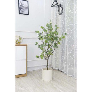 Cây bạch đàn trang trí cao 130cm - LC3050
