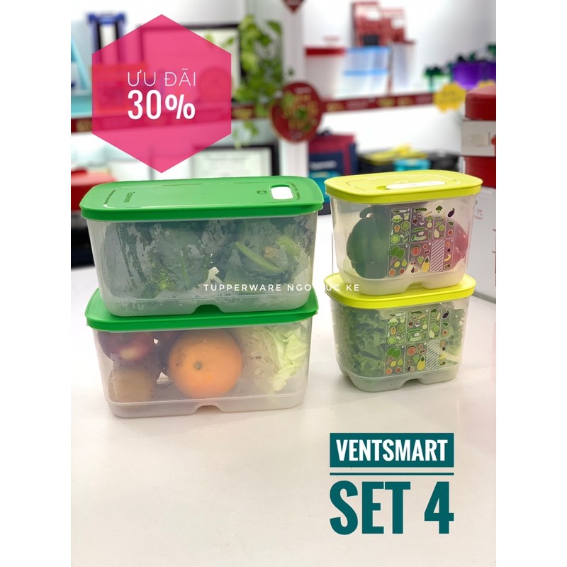 Bộ hộp trữ mát có nút hô hấp ventsmart Tupperware