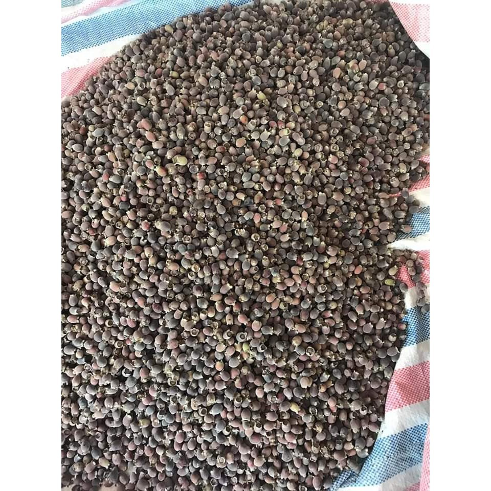 Sim rừng khô ngâm rựu