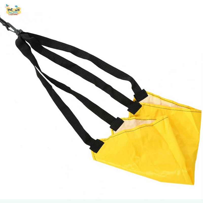 Bộ Dây Kháng Lực Có Dù Kháng Lực Dùng Tập Bơi/Đi Bơi