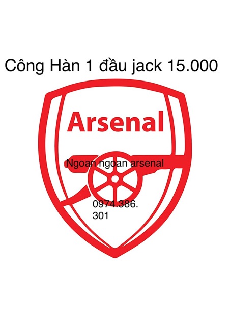 Công Hàn hoặc bắt vít 1 đầu jack rắc tín hiệu. Báo giá công cho 1 jack.