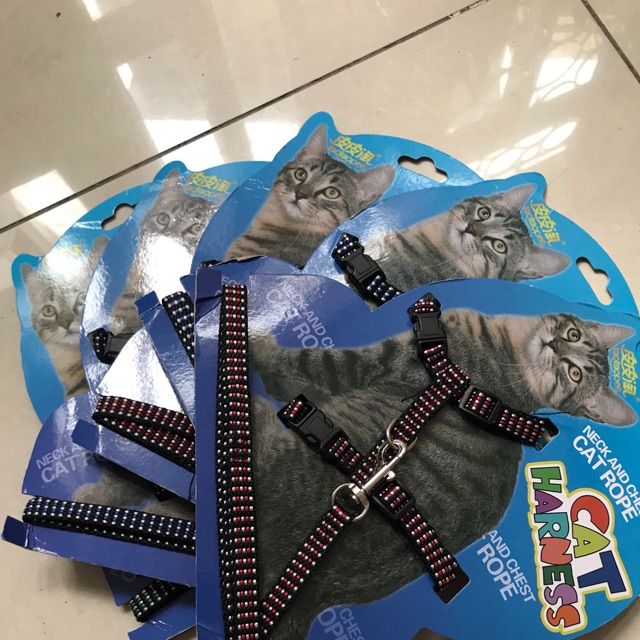 Dây dắt mèo choàng bụng