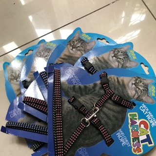 Dây dắt mèo choàng bụng