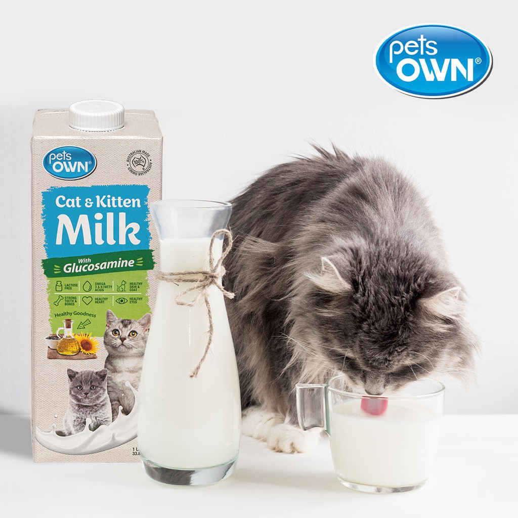 Sữa nước Pet Own cho chó mèo 1L (Úc) bổ sung Glucosamin
