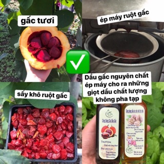Dầu gấc nguyên chất
