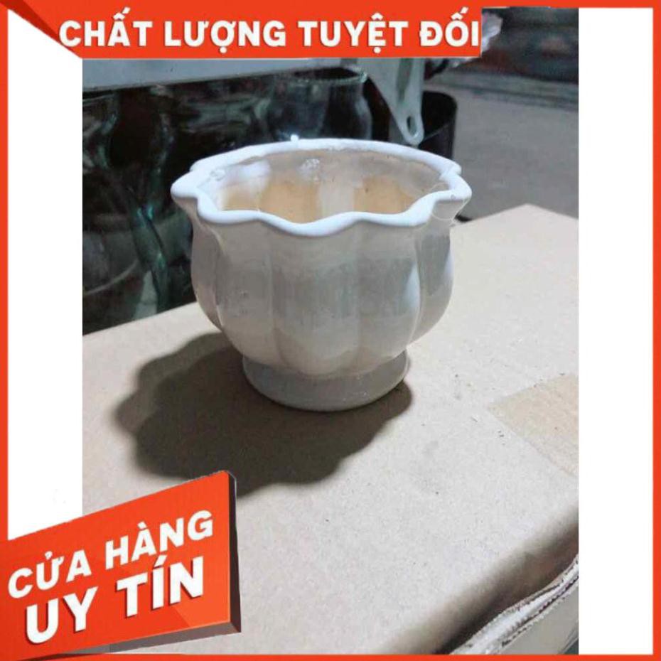 Chậu Trồng Cây Nhiều Người Mua