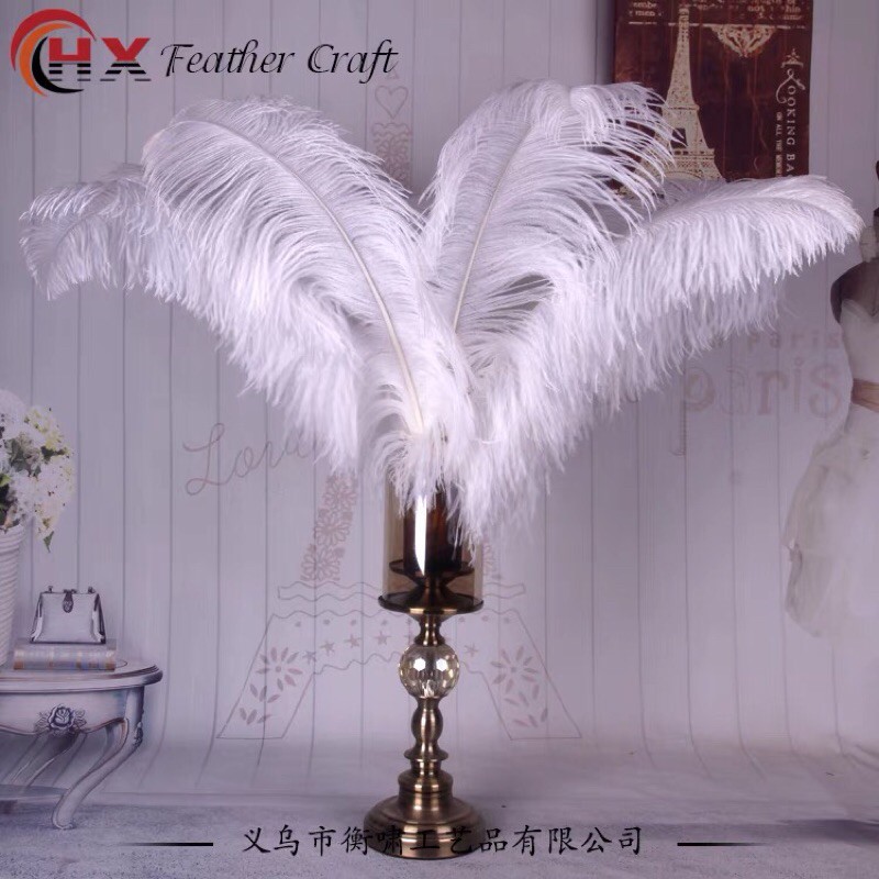 Lông vũ, Lông đà điểu trang trí  25 - 50cm  nhiều màu