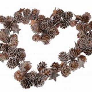 1kg Trái thông khô nhỏ