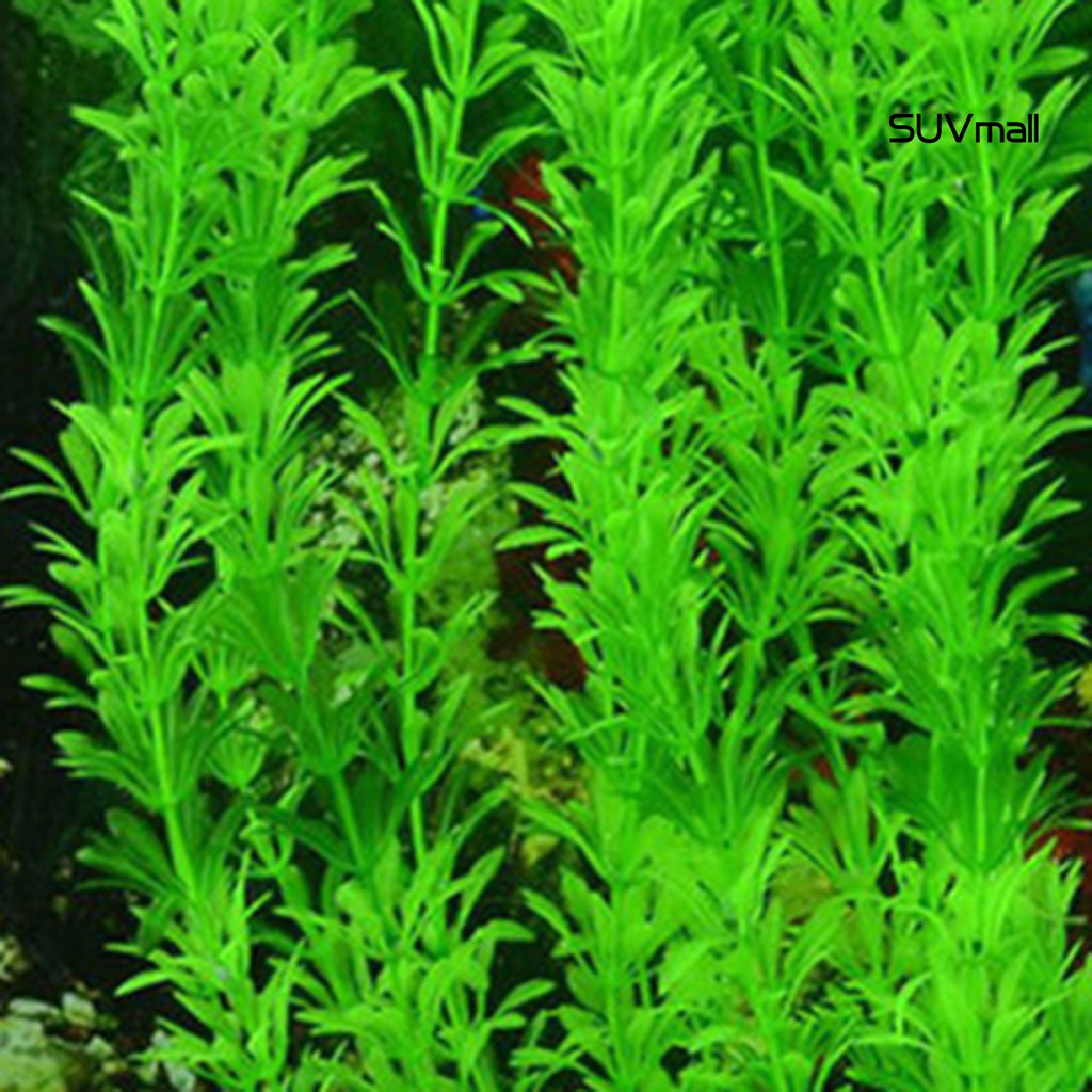 Cỏ nhân tạo bằng nhựa dùng trang trí bể cá