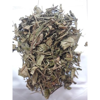 Dây thìa canh khô Măng Đen
