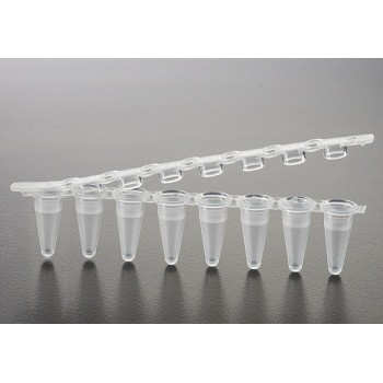 Ống PCR 0.2ml, 8 strip