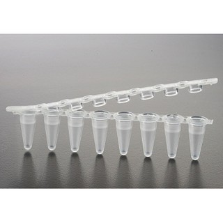Ống PCR 0.2ml, 8 strip
