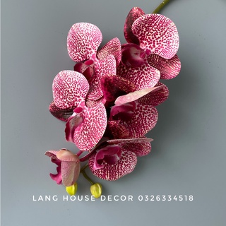 Hoa Giả Hoa Lụa - LAN HỒ ĐIỆP CAO CẤP 1 Cành 5 Bông Lớn