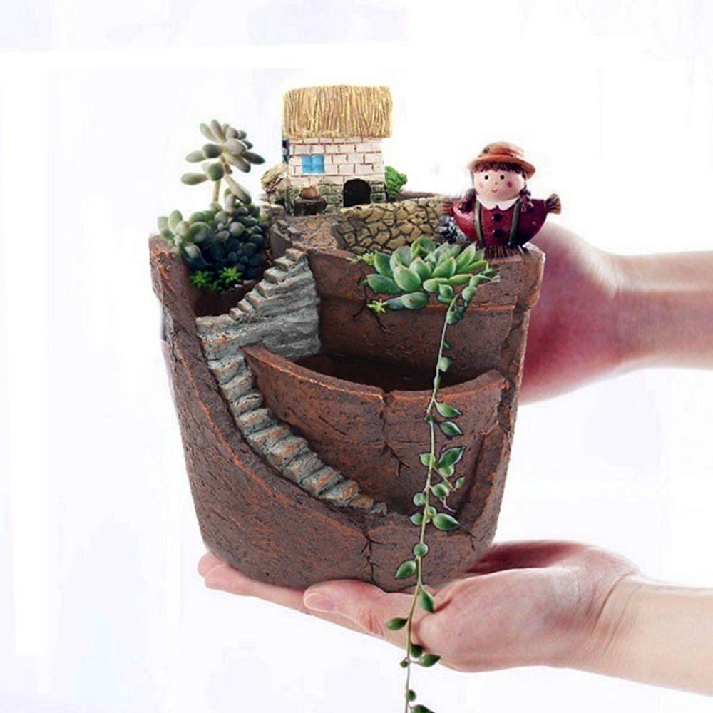 1 Chậu Trồng Cây Bonsai Trong Nhà