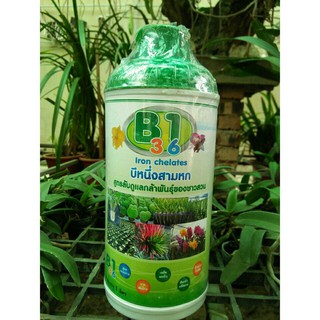 Phân bón B1 - Thái Lan 1000ml