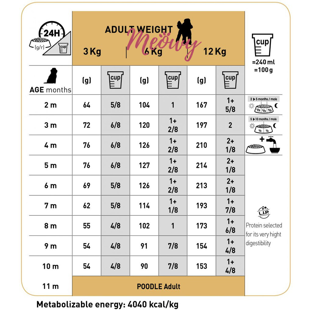 [500gr] hạt Royal Canin Poodle Puppy dưới 10 tháng