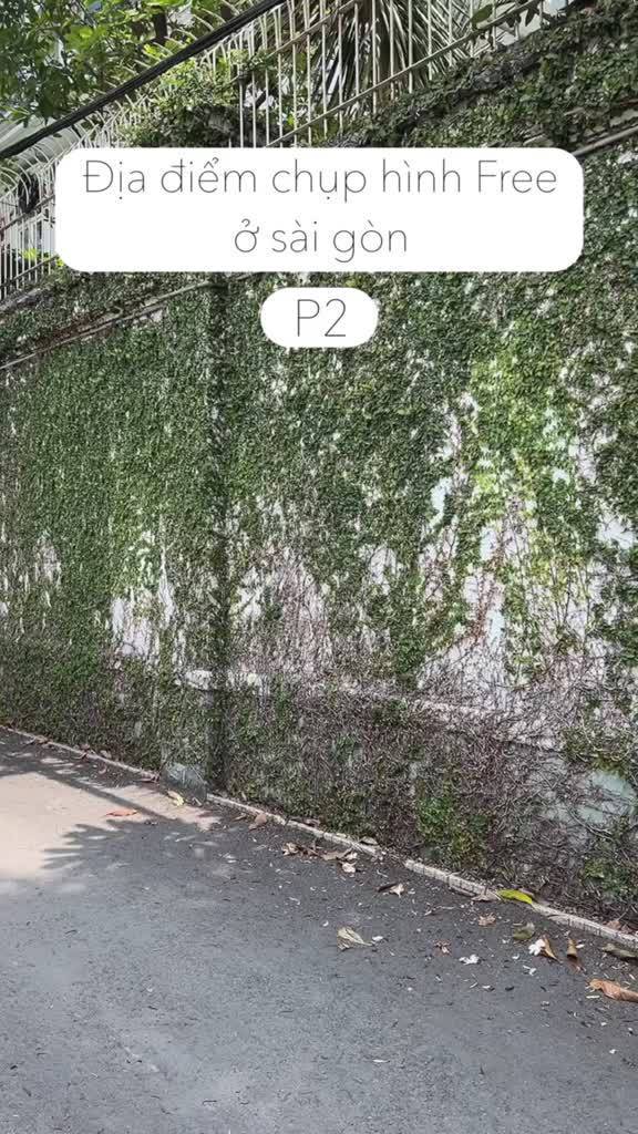 Áo Thun cotton CASUAL TEE // THOXRI | BigBuy360 - bigbuy360.vn