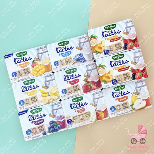 Sữa chua nguội bledina của pháp nhiều vị