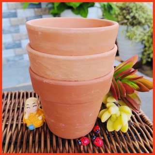 Chậu Đất Nung trồng Sen Đá