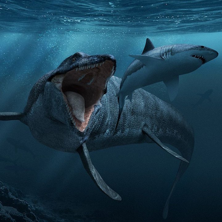 Đồ Chơi Mô Hình Khủng Long Mosasaurus