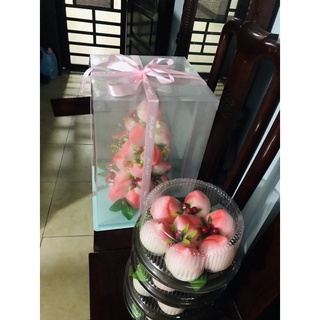 10 hộp nhựa A024 đựng bánh bao đag tiên, bánh bông lan