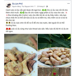 100 Cây ấu giống