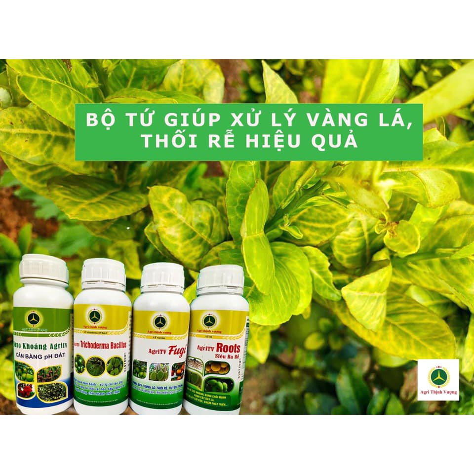 Thảo dược vi sinh XanhAgri phòng trừ côn trùng sâu rệp vẽ bùa, trĩ nhện -Lọ 500ml