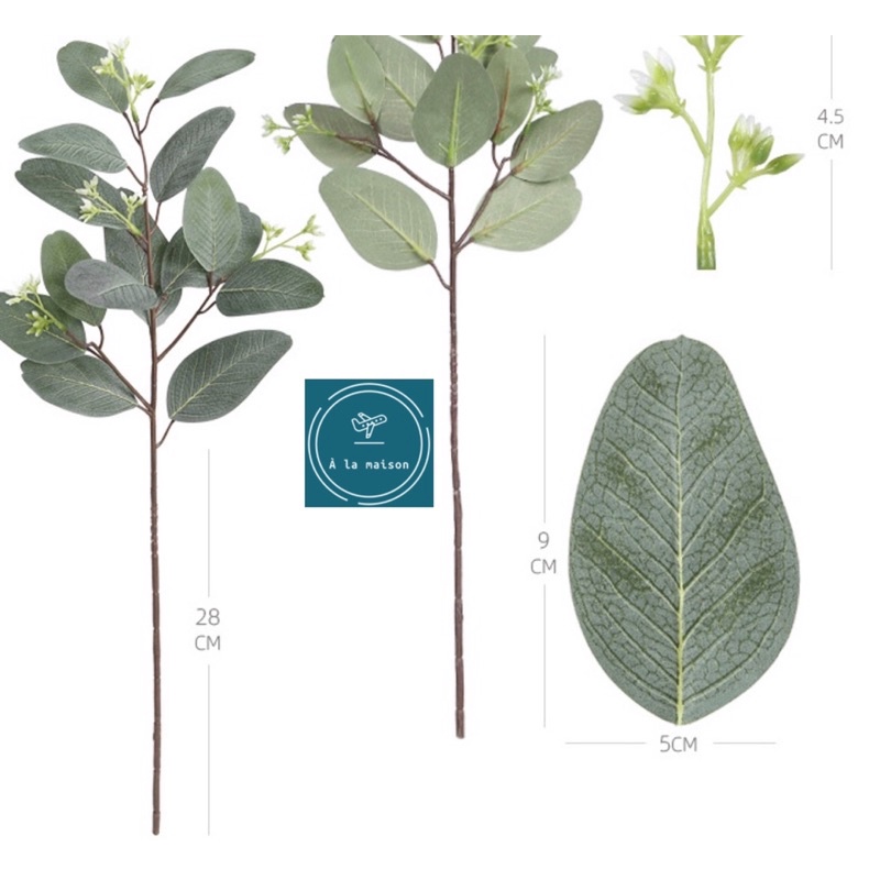Cành lá bạch đàn có hoa cao 53cm, Lá decor trang trí, hoa thiết kế, hoa cô dâu