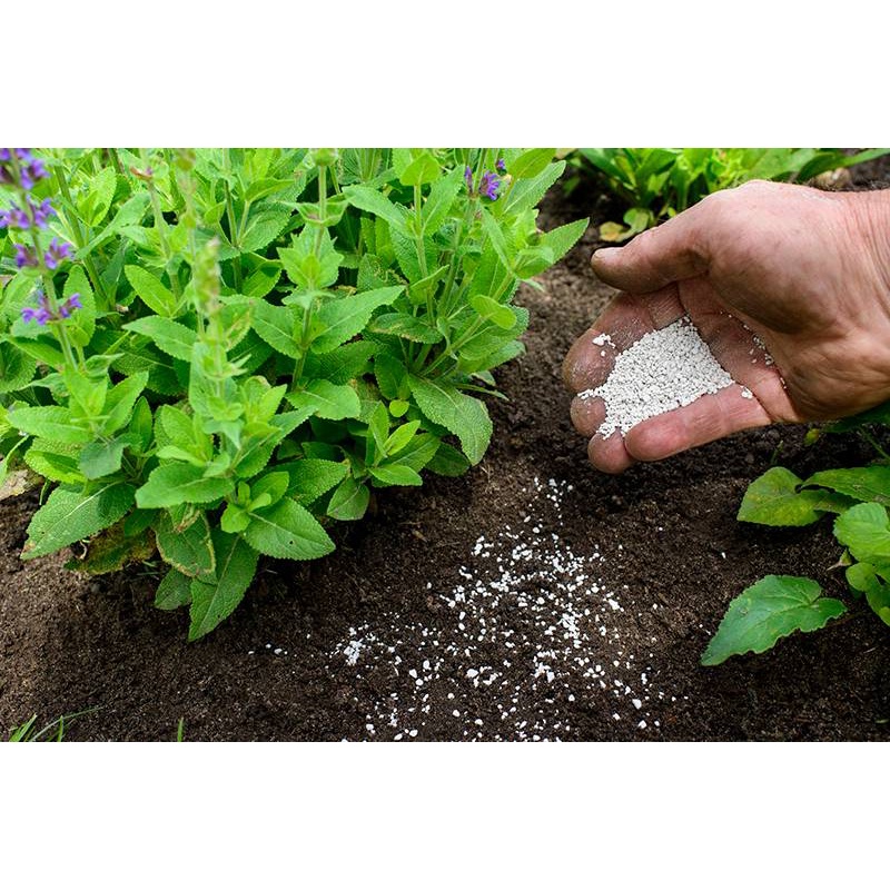 Phân Lân Đen Humic Hữu Cơ Chuyên Khử Chua Hạ Phèn
