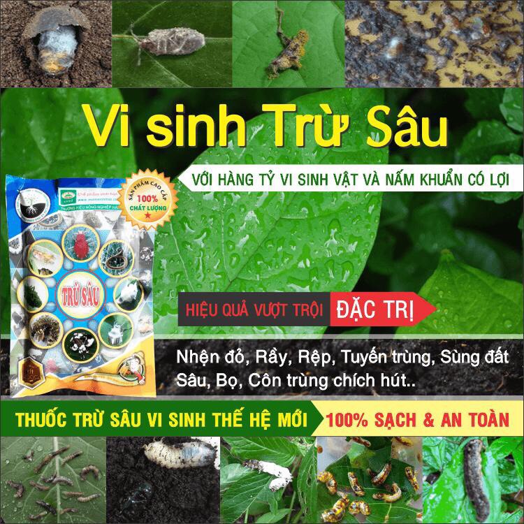 Chế phẩm Vi Sinh trừ côn trùng gây hại cây trồng. Quét sạch Sâu bệnh, Nhện đỏ, Trĩ, Bọ nhẩy, Rầy, Rệp sáp. 100% Tự Nhiên