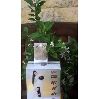 Bột bồ kết 5 con mèo (Tinh bột bồ kết túi lọc)